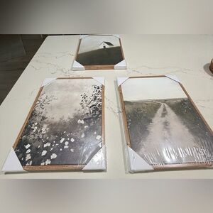 NEW Set of 3 Framed Nature Scenery Wall Art Painting Print Ready To Hang 12x16”